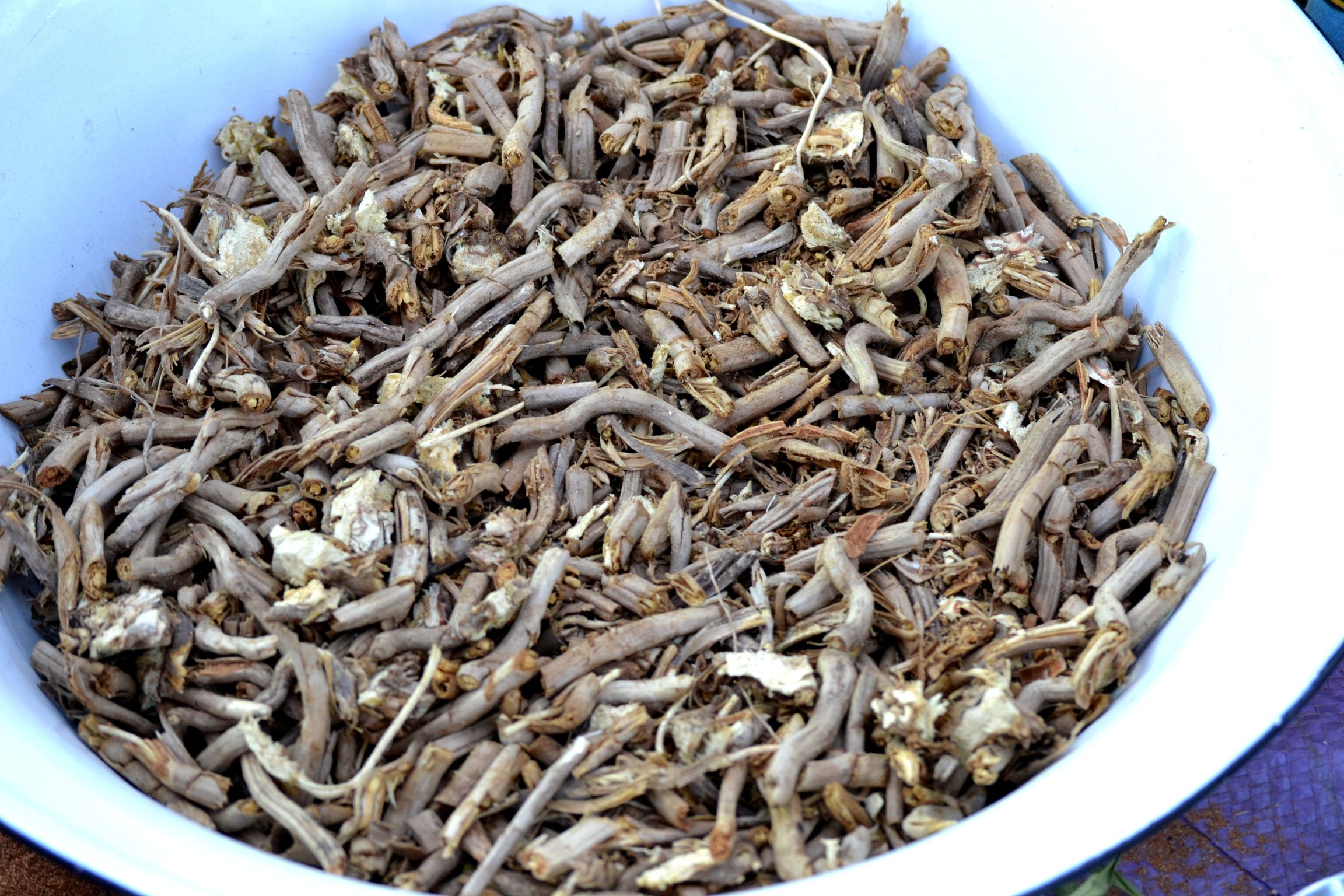 Collection of data on the !Kung language in Corridor17