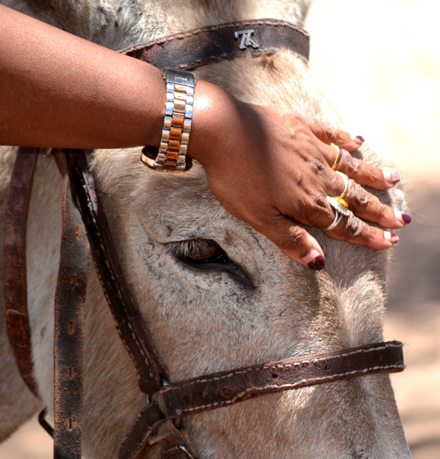 field work trip to Aranos