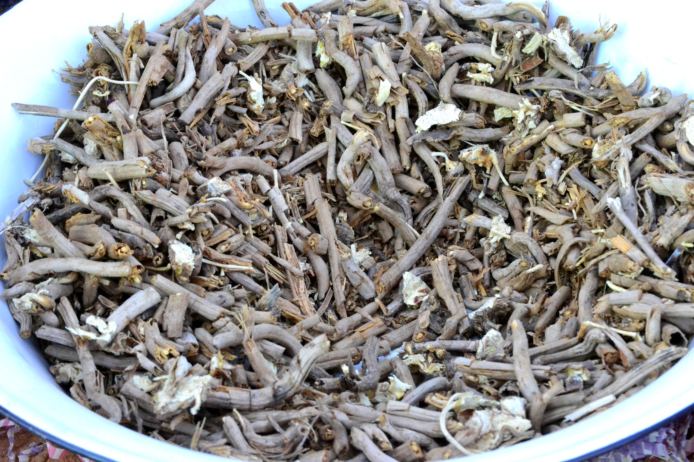 Collection of data on the !Kung language in Corridor17