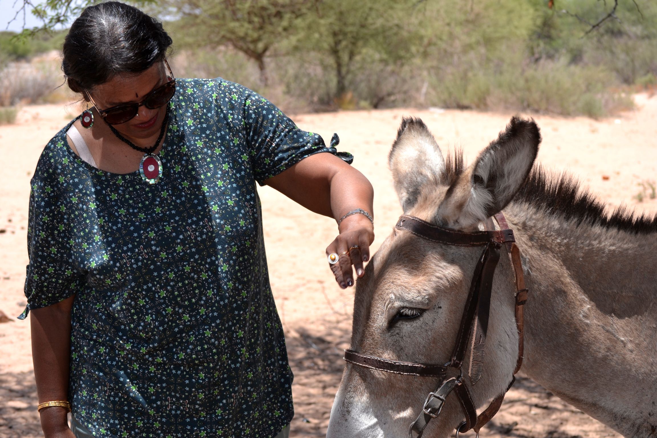 field work trip to Aranos